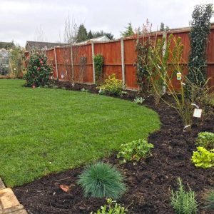 Leatherhead-garden-makeover-3