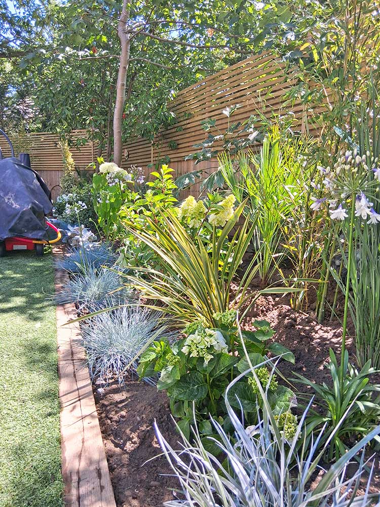 Recently planted rear beds